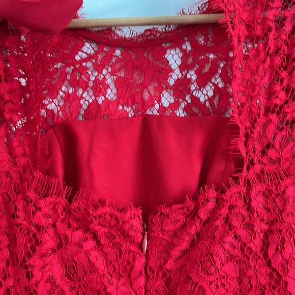 J Crew Red Lace Sheath Dress - Picture 8 of 11